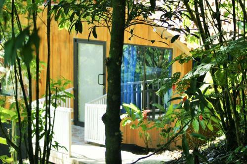 Greenlagoon Arenal Waterfall Villas