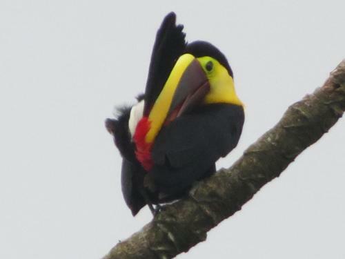 Bed & Breakfast Erupciones Inn B & B