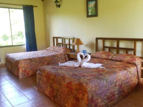 Bed & Breakfast Erupciones Inn B & B