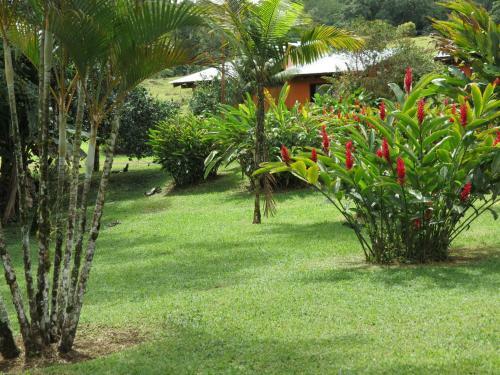 Bed & Breakfast Erupciones Inn B & B