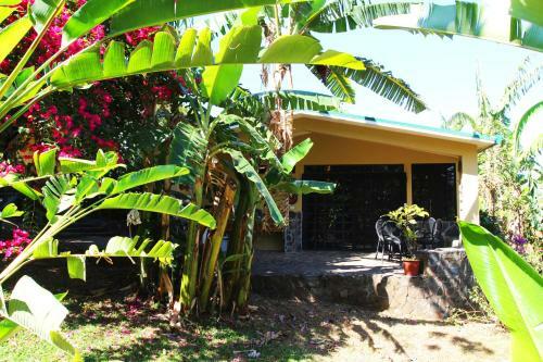 Bed & Breakfast Pura Vida Hotel