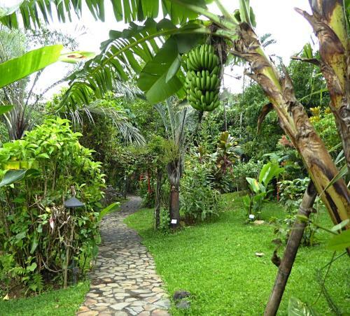 Bed & Breakfast Pura Vida Hotel