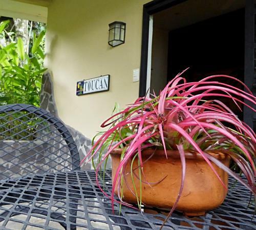 Bed & Breakfast Pura Vida Hotel