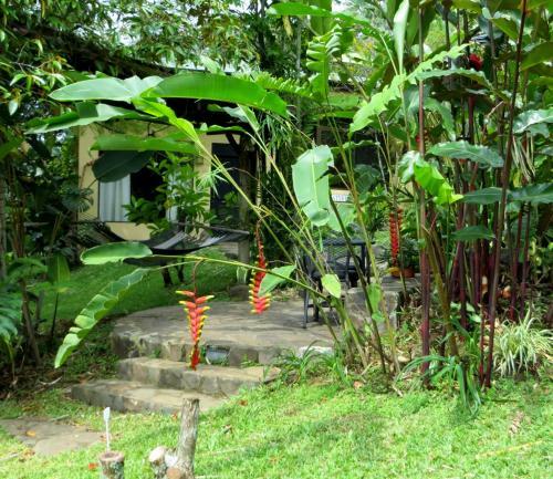 Bed & Breakfast Pura Vida Hotel