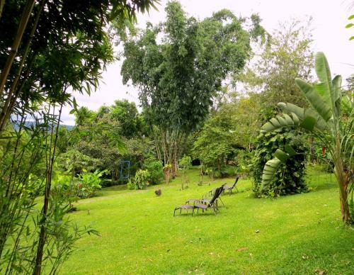 Bed & Breakfast Pura Vida Hotel