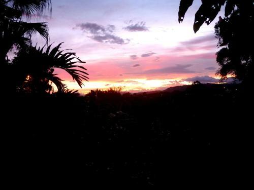 Bed & Breakfast Pura Vida Hotel