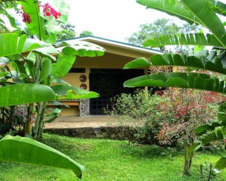 Bed & Breakfast Pura Vida Hotel
