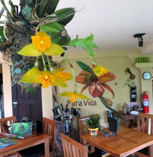 Bed & Breakfast Pura Vida Hotel