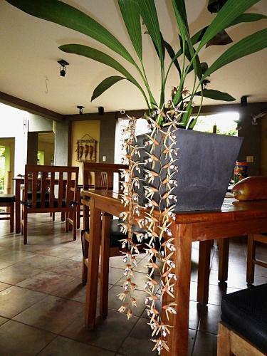 Bed & Breakfast Pura Vida Hotel