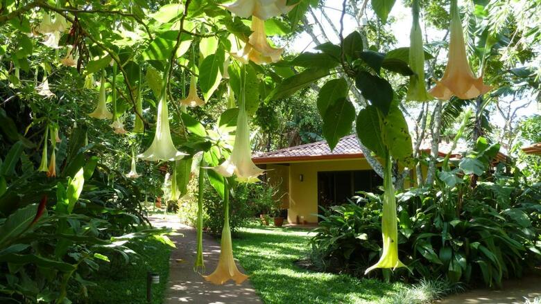 Tacacori Ecolodge