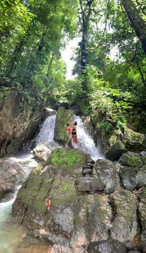 Jungle Beach Hotel