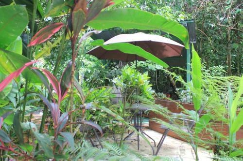 Hotel La Posada Jungle Bungalows