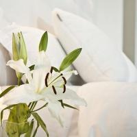 Shana Hotel & Residence