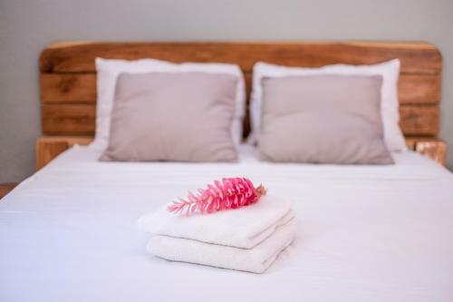 Zula Inn Aparthotel