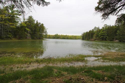 Midcoast Serenity