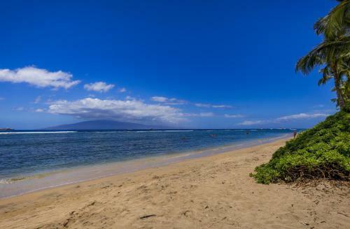 Apartamento Lahaina Shores #301