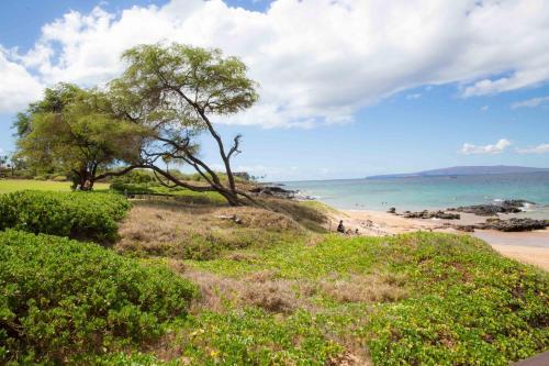 Apartamento Hale Kamaole #308