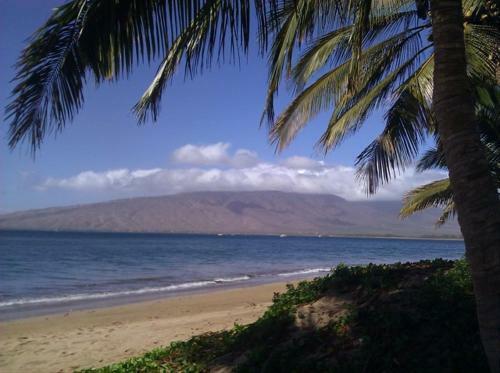 Apartamento Kihei Akahi Resort - Unit C505