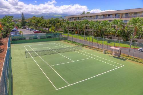 Maui Banyan Q409a & Q409