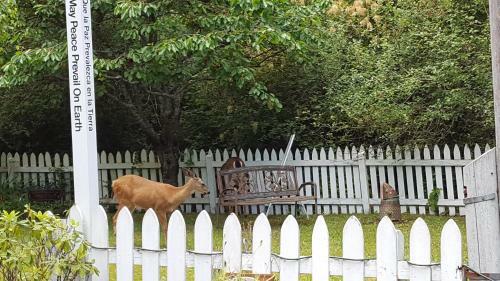 Bed & Breakfast Huber's Inn Port Townsend