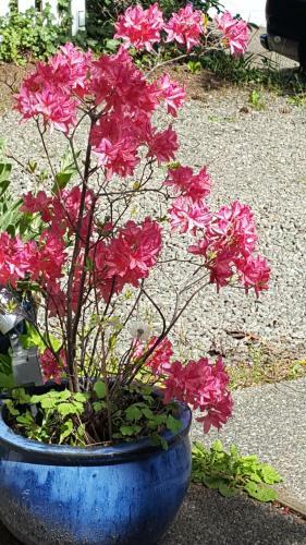 Bed & Breakfast Huber's Inn Port Townsend