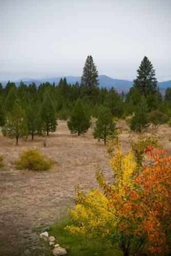 Idahome Bed And Breakfast