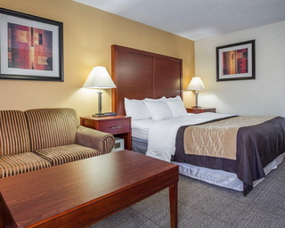 Hotel Comfort Inn Richburg