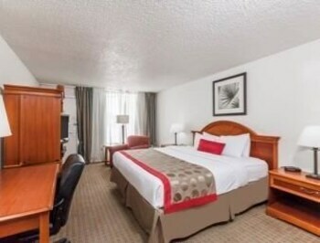 Motel Super 8 New Iberia