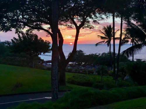 Apartamento Maui Kamaole #g-101 Condo