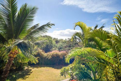 Maui Banyan Q203a & Q203b