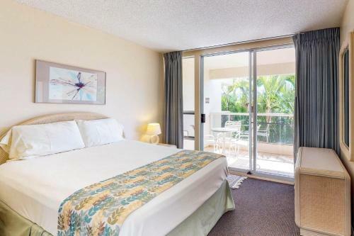 Maui Banyan Q203b