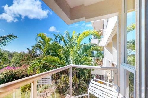 Maui Banyan Q203b