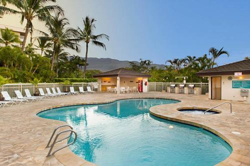 Maui Banyan Q203b