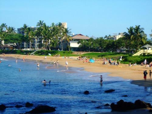 Apartamento Kihei Akahi #d-412 Condo