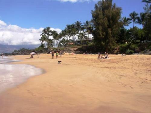 Apartamento Kihei Akahi #d-412 Condo