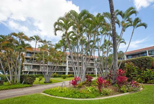 Apartamento Maui Parkshore #304 Condo