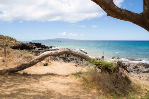 Apartamento Hale Kamaole #329