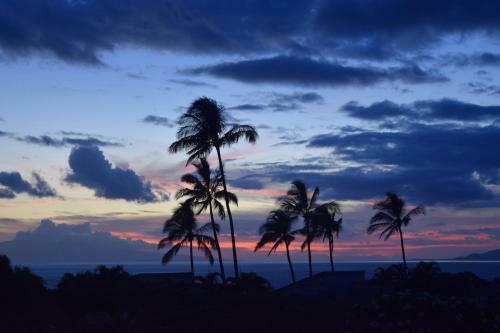 Apartamento Wailea Ekolu #805 Condo