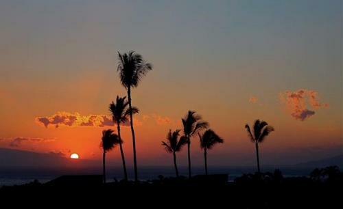 Apartamento Wailea Ekolu #805 Condo