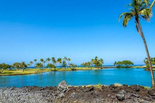 Mauna Lani Terrace D201