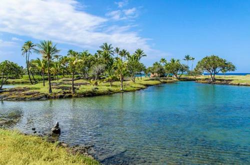 Mauna Lani Terrace D201