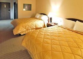 Hotel Comfort Inn Florence