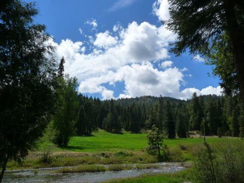 Yosemite Lodging At Big Creek Inn B&B