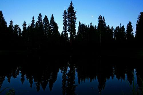 Yosemite Lodging At Big Creek Inn B&B
