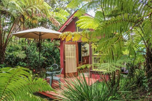 Ferny Hollow: Romantic Rainforest Cottage