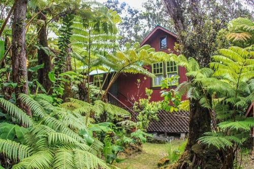 Ferny Hollow: Romantic Rainforest Cottage