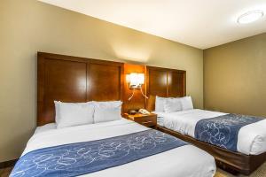Hotel Comfort Suites Mattoon Illinois