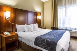 Hotel Comfort Suites Mattoon Illinois