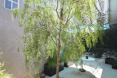 Abbot Kinney Villa