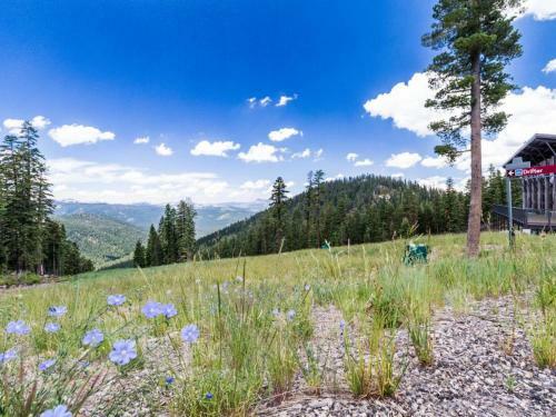 Northstar Original Village Studio One